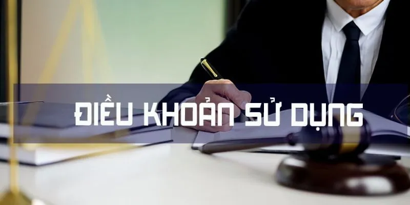 Điều khoản dịch vụ về trách nhiệm người dùng tại Cakhia TV