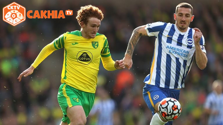 Dự báo trận đấu Norwich City vs Brighton: Tiếng hót của Chim hoàng yến sẽ vang lên vào lúc 22h00, ngày 11/01/2025