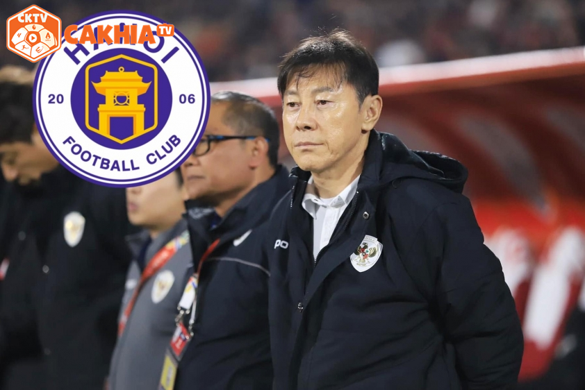 Hà Nội FC phủ nhận tin đồn chiêu mộ HLV Shin Tae Yong